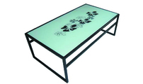 Table basse rectangulaire moderne Flower