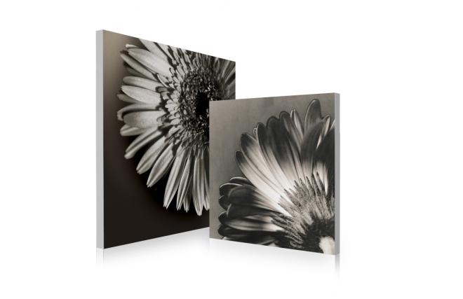 Tableau contemporain Flowers (lot de 2)