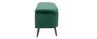 Banc coffre en velours vert ATON