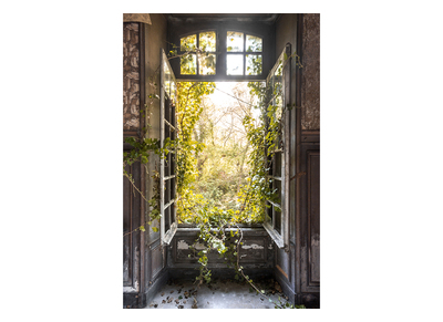 Cadre photo nature style urbex en plexiglas L80 x L120 cm LIERE