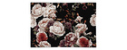 Tapis design motif roses 160 x 230 cm GALICA