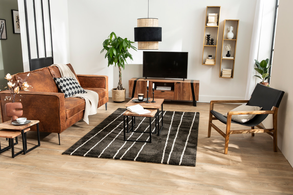 Tapis ray chocolat et beige 160 x 230 cm LINE
